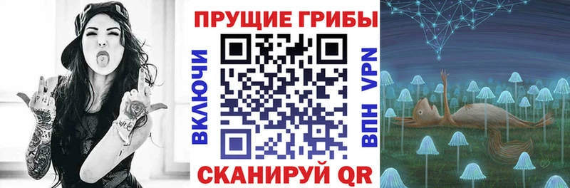 Купить закладки  Лукоянов  Псилоцибиновые грибы мицелий 